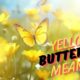 yellow butterfly meaning