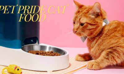 pet pride cat food