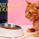 pet pride cat food