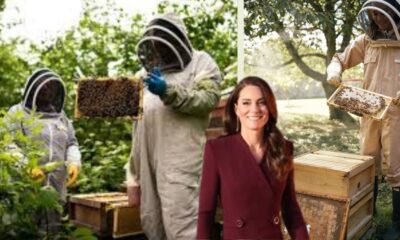 kate middleton beekeeping hobby